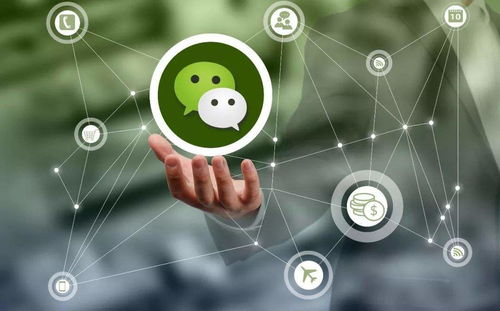 朋友圈營銷策劃推廣實戰(zhàn)指南 微漁商學(xué)院助你精準(zhǔn)引流